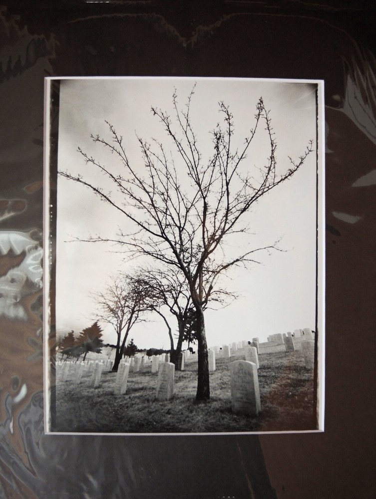 Fine Art Darkroom Print «Cemetery Trees» from Gordy and the Pussycats