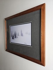 Signed David Whitten Limited Edition 35mm Photograph Print 17.5×14.75 Framed Art