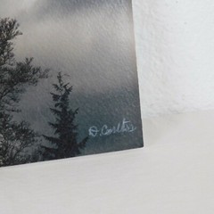Storm Cloud Tree Foam Core Mounted Signed D Carlton Photograph Pacific NW Artist