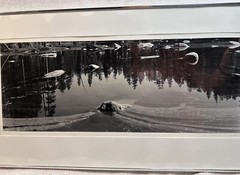 Michael A Smith Photography Signed High Sierras Yosemite 1979 8×20 Contact Print