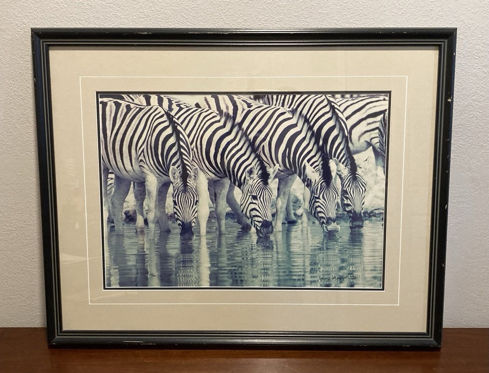 Thomas D. Mangelsen Dry Season Signed Framed Color Landscape Photograph Zebras