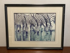 Thomas D. Mangelsen Dry Season Signed Framed Color Landscape Photograph Zebras