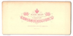 Stereo Photography Alois Beer, Klagenfurt, View Salzburg, View to Castle An