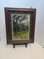 Mt Diablo CA Signed Photo “A Walk in the Woods” Michael Rose Framed 16.5×13.5