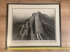 Black & White Driftwood Photograph Signed Justin 1992 Framed 24×20