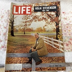 LIFE, ADLAI STEVENSON 1900-1965 PIN-UP ART MODEL RARE VTG MEMORIAL MAGAZINE
