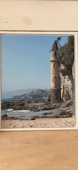 Coastal Beach Ocean Landscape Photography Set – Waves, Seagull, Flowers, Sunset