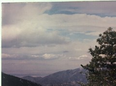 Pine Tree Mountain Sky Clouds Photo Art Print On Board Unknown Artist FoundArt