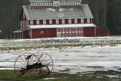 Old Barn Photo, Pick One Image – Various Sizes
