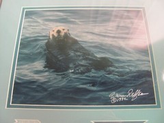 Warren Redfean Signed Photo of Sea Otter Professionally Framed 1992