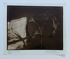 AMERICAN ARTIST ROBERT J. STEINBERG SIGNED TITLED DATED PHOTOGRAPH – «PALM»