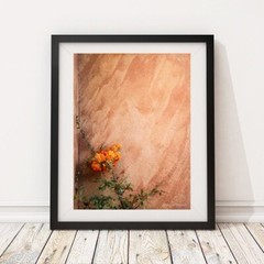 Orange Flower on Adobe House in New Mexico – Home Decor, Wall Art Photography