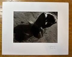 Frank Yamrus “Jeffrey Heart” Nude Kneeling On The Beach Signed 1993 Silver Print