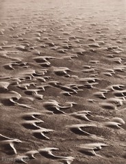 1931 Vintage 16×20 SAND DUNES AFRICA Switzerland Photo Art ~ WALTER MITTELHOLZER
