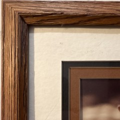 Gerry Lamarre Wildlife Photography Coyote Nature Art Print Framed Double Matted