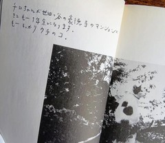 Nobuyoshi Araki Chiro My Love Photo 1992 Cat Photograph