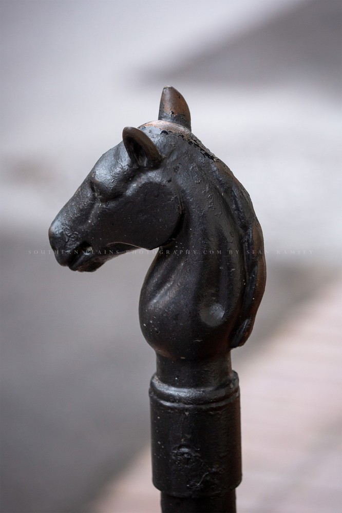 Horse Head Hitching Post Photography Print: New Orleans Louisiana French Quarter