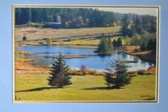 Framed & Matted Photograph by Susan Slapin WA. USA Aluminum Metal Print Signed