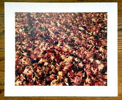 Signed Weston Photograph 19 1/2″x15 3/4″ dated 1976