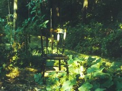 Original Signed 1990 Photograph Mary Turtle’s Garden by David Hilliard Listed