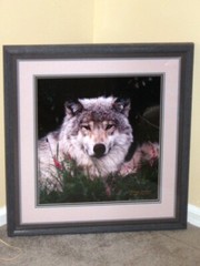 Johnny Johnson «Soul of Silence»UNFRAMED 808/950 limited edition SOLD OUT print 