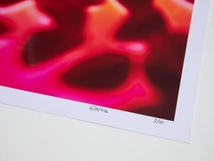 Gummy Lips – 17″ x 22″ Fine Art Photography Print – Artistic Food Photography