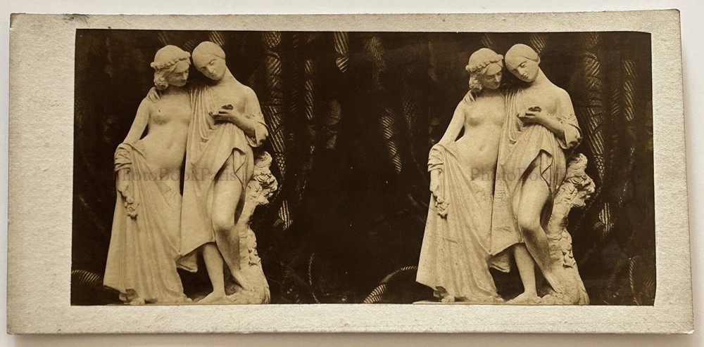 Amoureuse Stereo Photograph Of A Sculpture Vintage Album Circa 1858