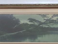 Vintage Scenic Photograph Framed Art Lost Lake Michigan, Trees Antique Art 1939