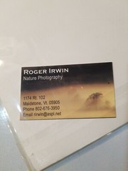 ROGER IRWIN OUTDOOR PHOTOGRAPHY PHOTOGRAPHER Moose Photo Photograph VERMONT