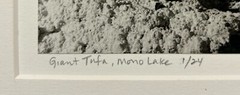 Original GORDON H HASTINGS California Yosemite Death Valley Gelatin PHOTOGRAPHS