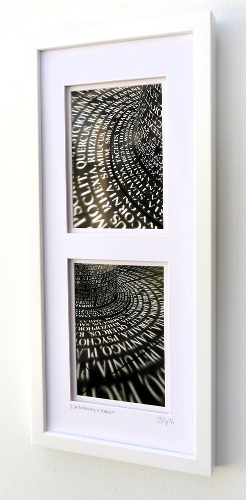 Framed Original Photography, Architectural, Travel, Sculpture by C. Damien Fox