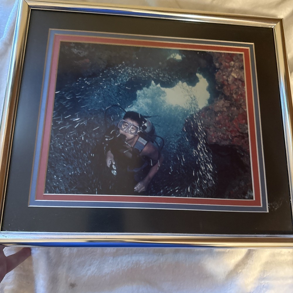 Diving With Fish Framed Photograph Cayman Islands 14” X 12” 1990’s