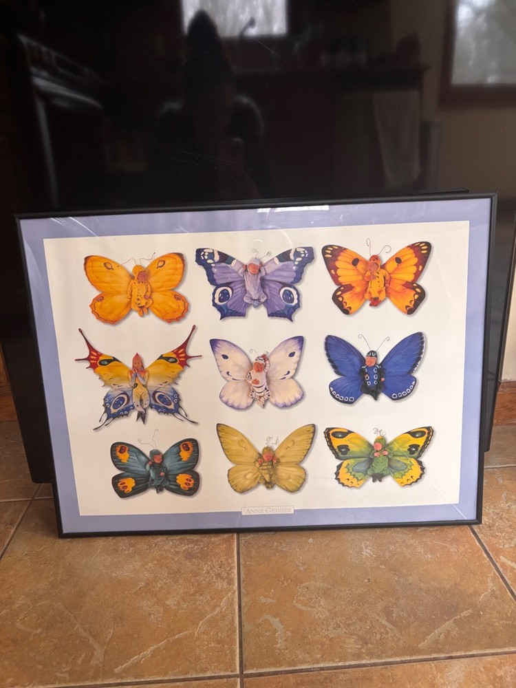 anne geddes baby butterflies picture framed 18×24