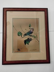 Thomas D Mangelsen Signed & Numbered «African Colors – Lilac Breasted Roller»