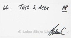 SIGNED DIBOND PICTURE » TRISH & DEER » IMAGE SHOT BY FAMOUS HELENA CHRISTENSEN