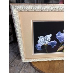A. Bush Purple Irises Floral Art Print Photography Framed 15.5″ EUC GIFT Decor