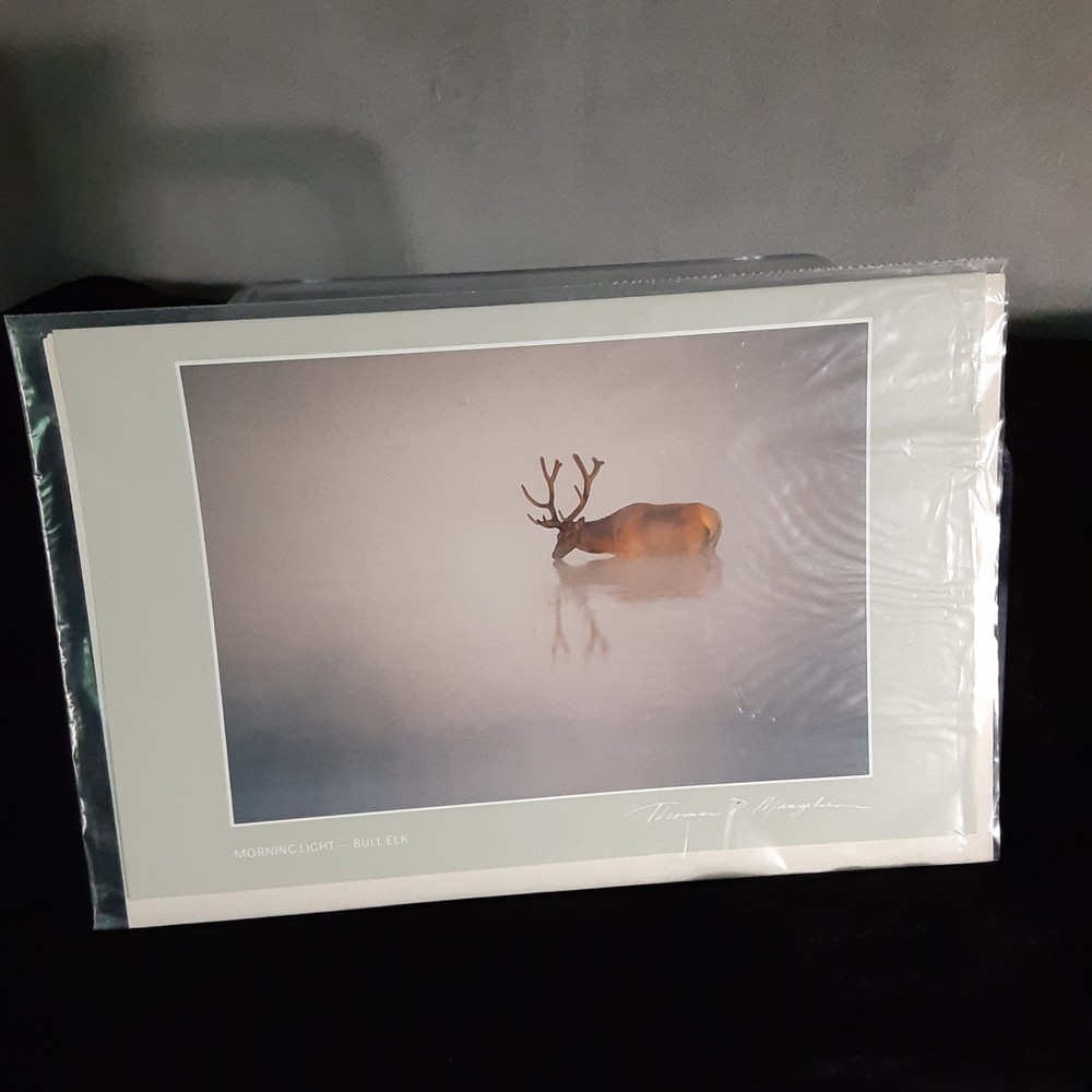 Thomas Mangelsen Images of Nature Photo Card Morning Light Bull Elk – 1986
