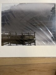 Kevin Fox Great Blue Herron On Dock Matted Photo 16×20 Signed 2003