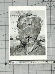Douglas Prince (b. 1943) Art Announcement Card 1994 – Witkin Gallery NYC