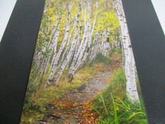 Autumn Path in the Woods Photo on Dura Plaq by Doug Blunt 8×10 (A23)