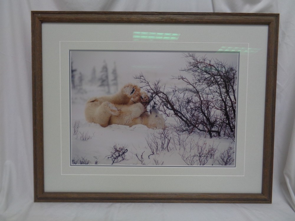Vintage Original Thomas Mangelsen «Polar Fun» Polar Bear Framed 1446/1500