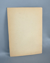 Antique Photo on Cardboard Photography Picture Old 30 x 21.5 cm Tray #F2
