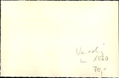 CdV Venezia Venice Veneto, Ponte di Rialto, Grand Canal, 1860 – 10639128