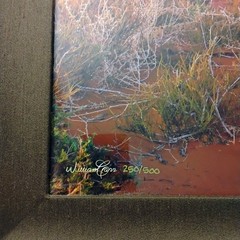 William Carr professional fine art photograph with Oak frame retail value $1600