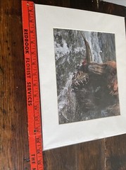 GRIZZLY BEAR FISHING GLOSSY PICTURE PHOTO hunting Eating salmon spawn 11×14