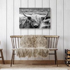 SEVEN WALL ARTS Highland Cow Photography Wildlife Portrait Picture Black and …