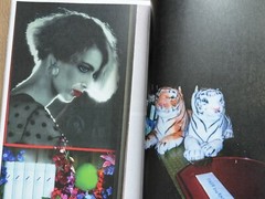 🎈SIGNED! Daido Moriyama – UWAJIMA / cover by Saiko Otake, Limited Ed Super RARE