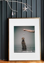 WILLIAM WEGMAN ‘Hypno’, 1988/2022 SIGNED Ltd. Ed. Color Dog Photograph 10″ x 8″