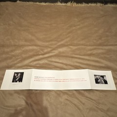 Rare 2015 Duane Michals Photographs Anthony Red Art 5 1/4in X 7 3/4X 30in