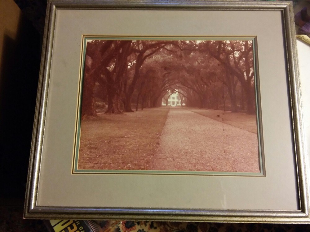 039 VTG Color Framed Photograph Rosedown Plantation House 21×18 Regency Art